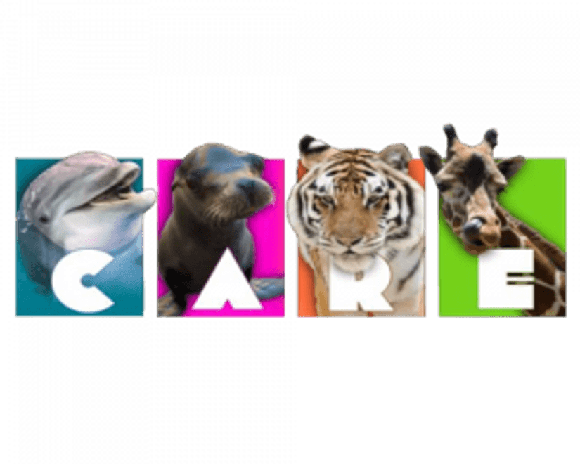 Care