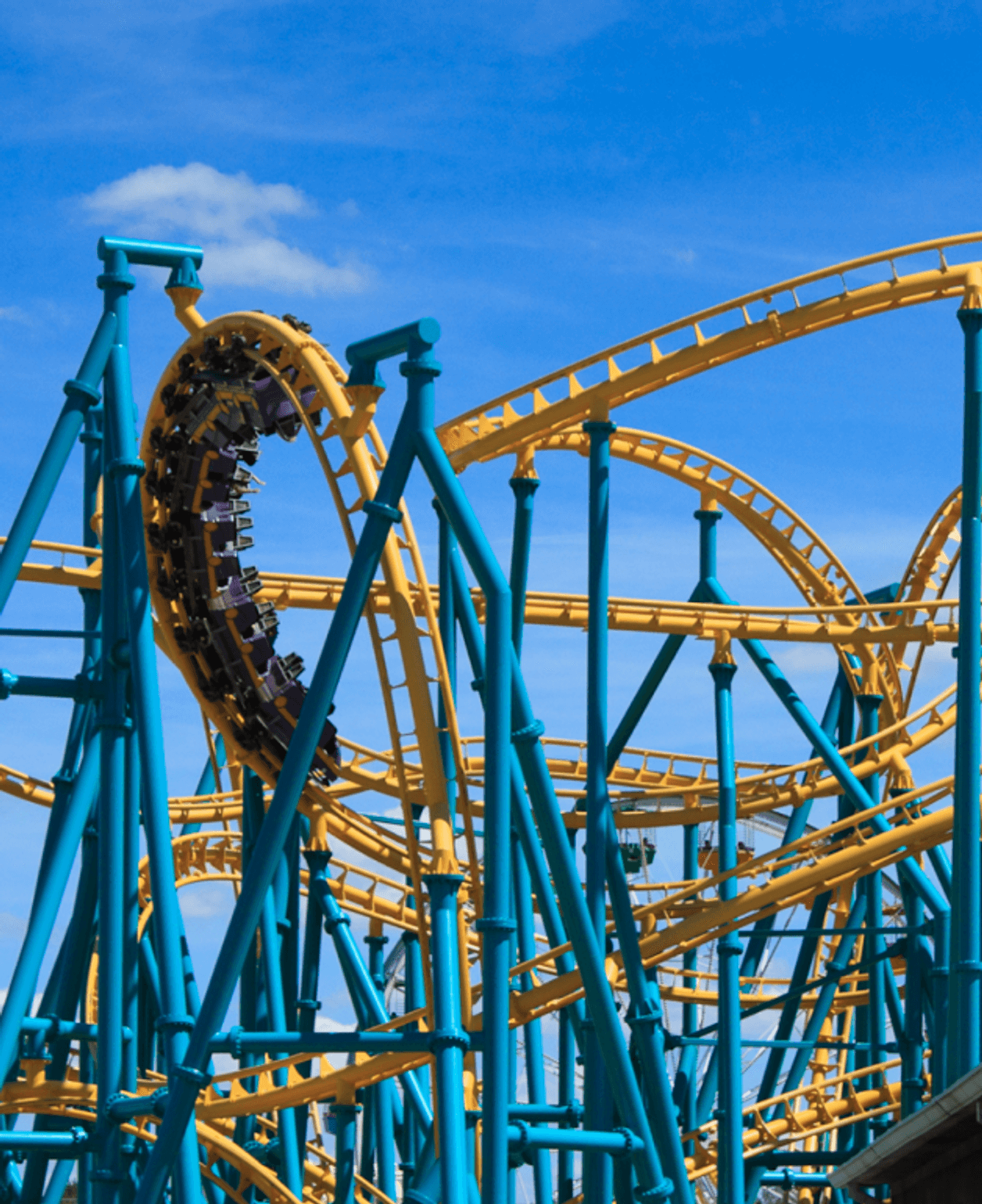 Thrilling Rides